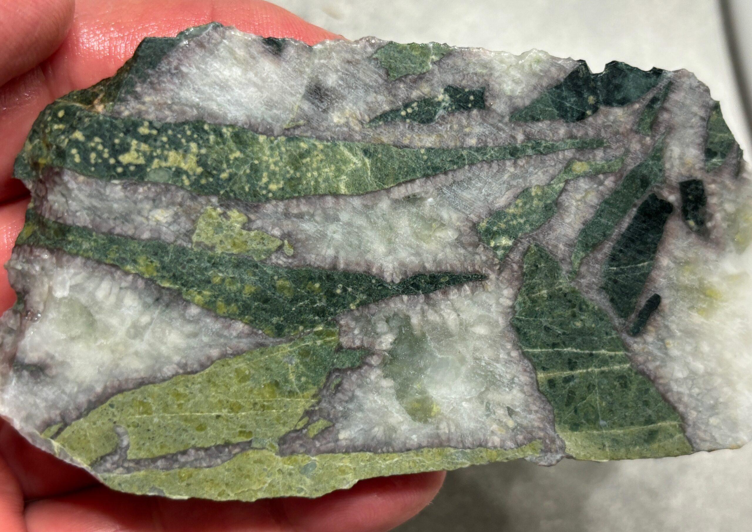 Port Alberni area breccia