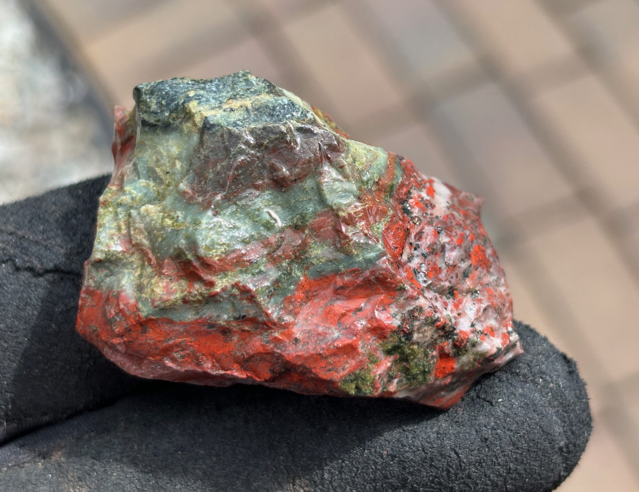 Port Alberni Jasper