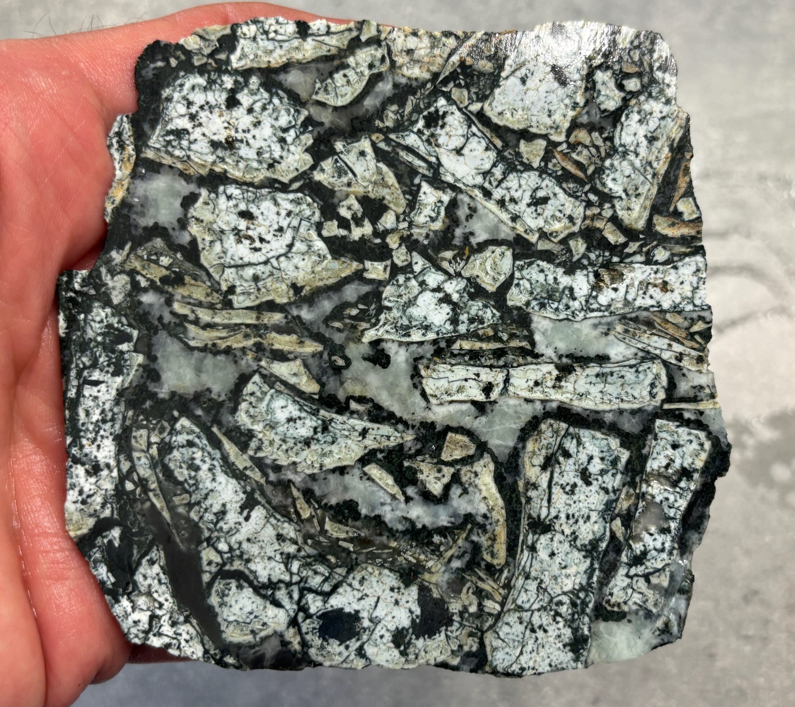 Horne Lake area Dallasite