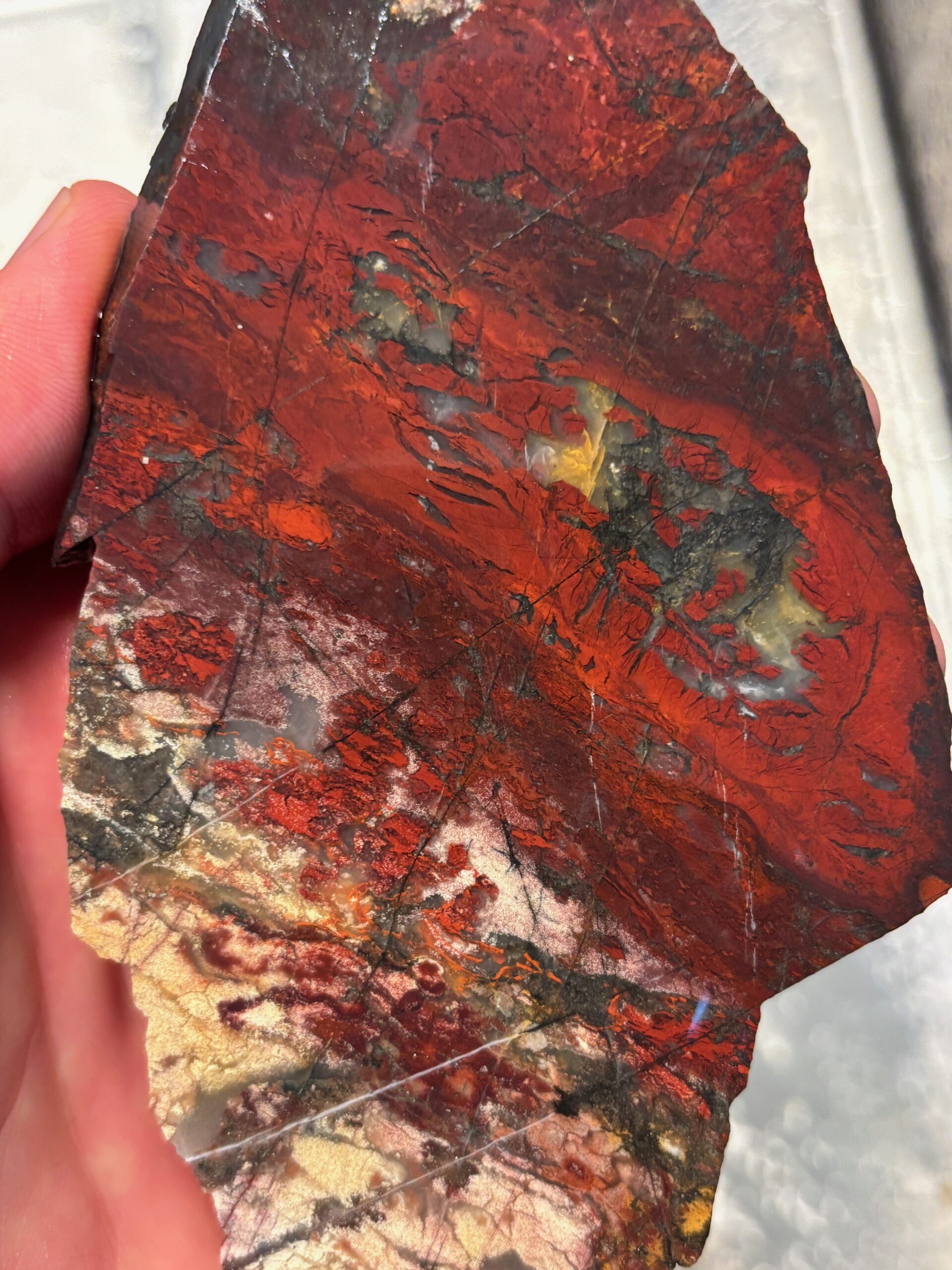 Cowichan Lake Area Jasper with Spessartite