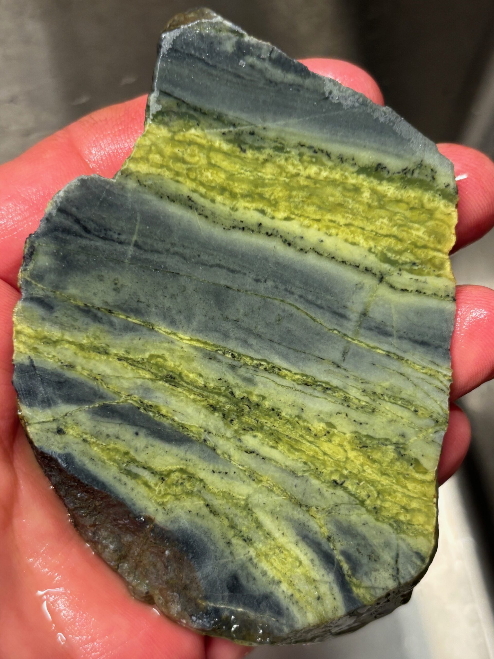 Ucluelet area Serpentinite