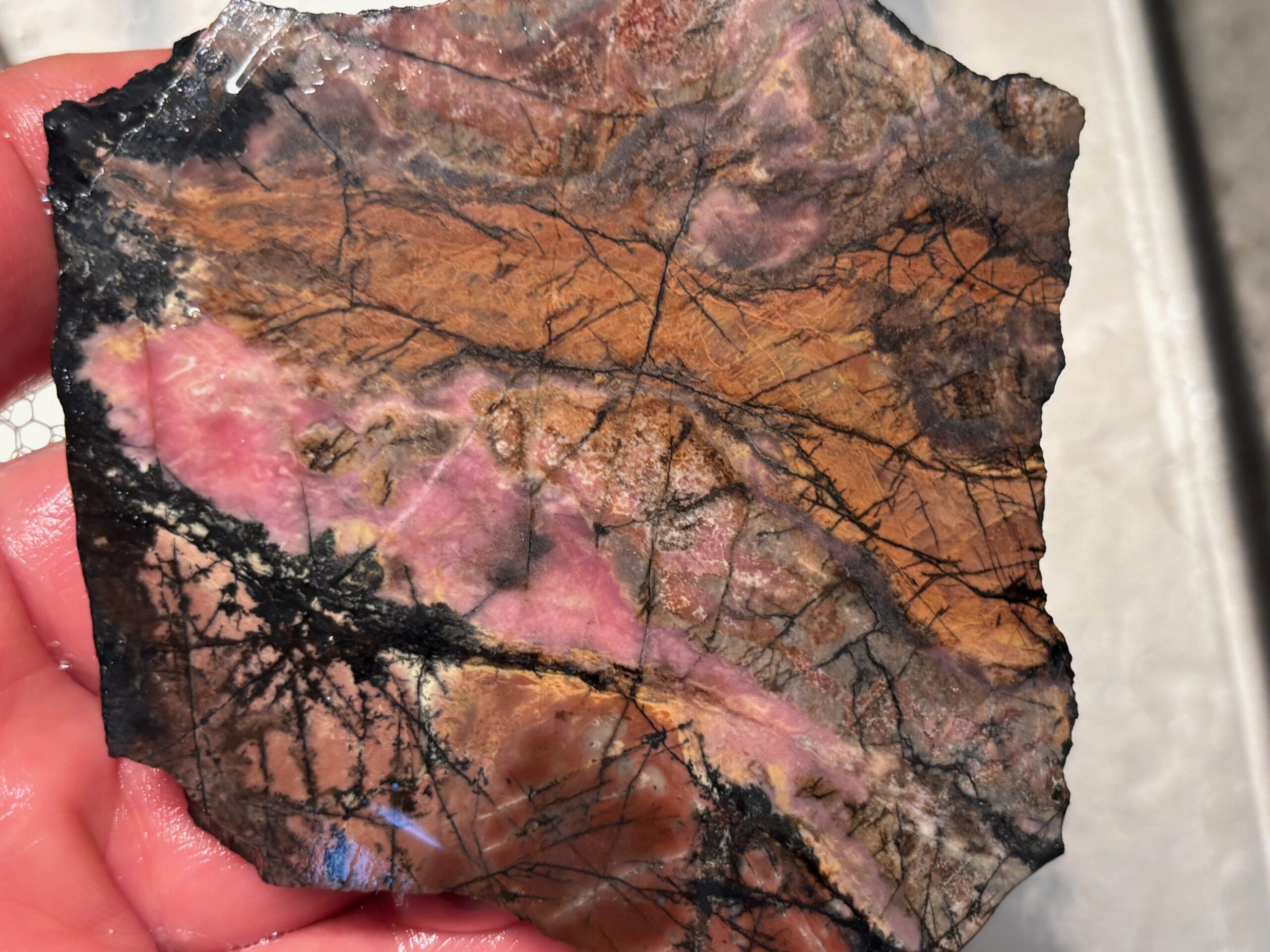 Vancouver Island Rhodonite