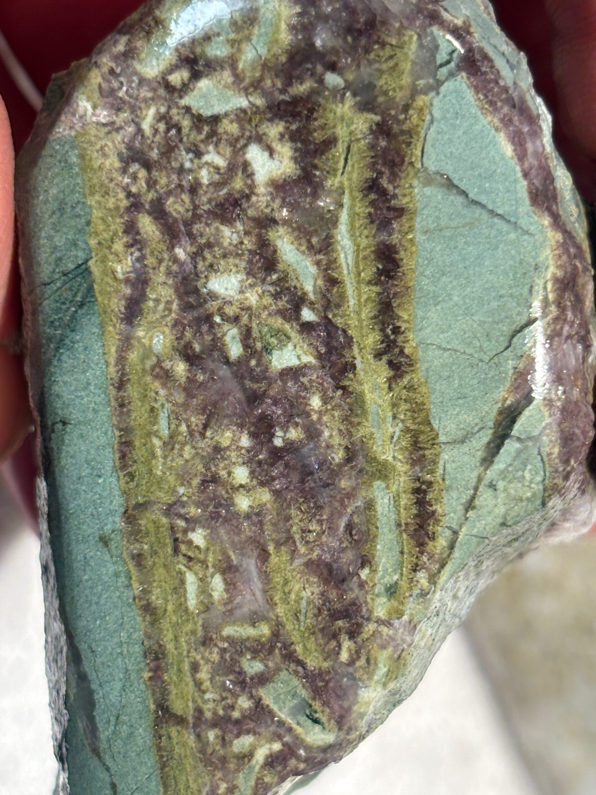 Port Alberni Axinite