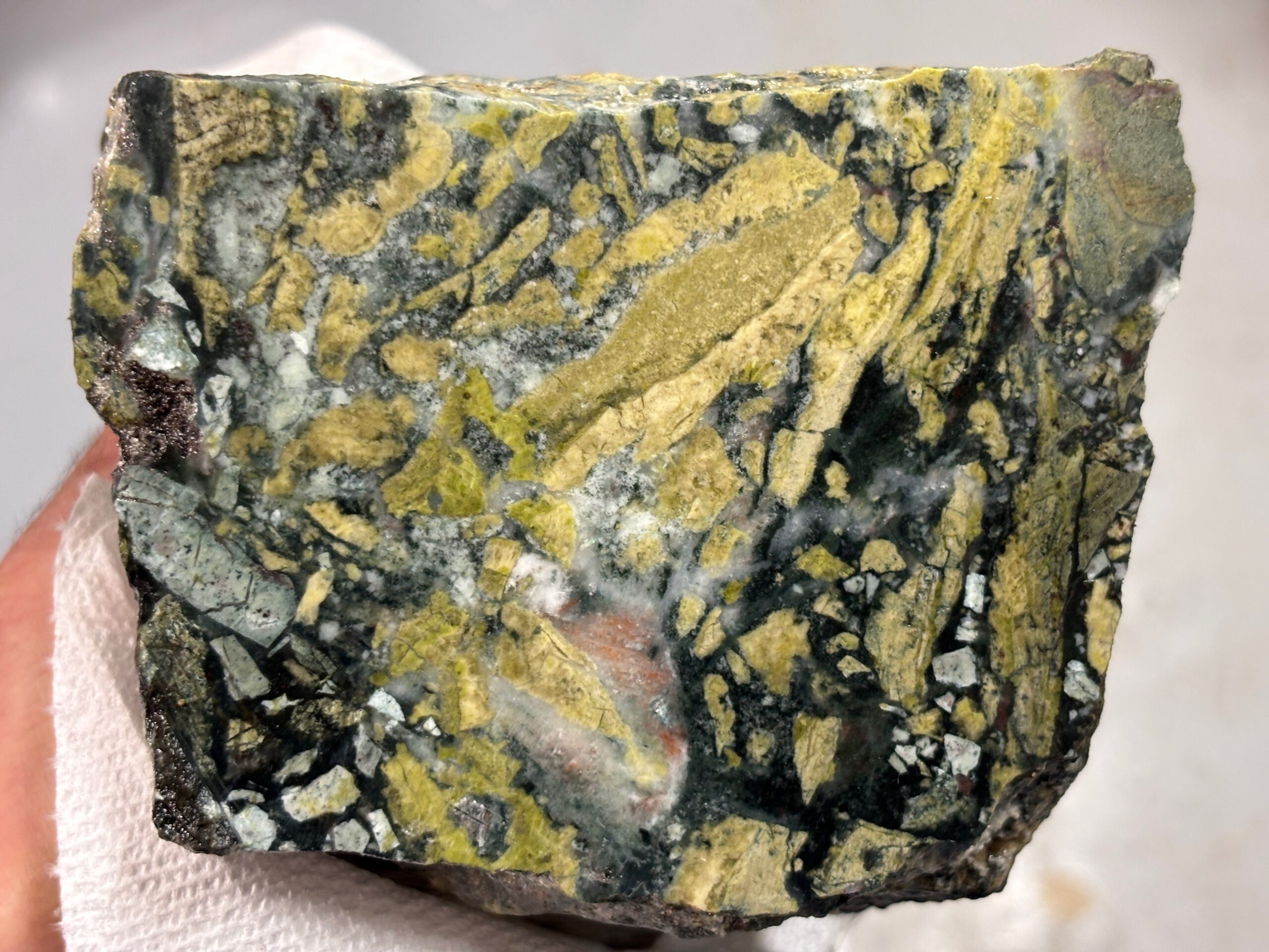 Parksville area breccia
