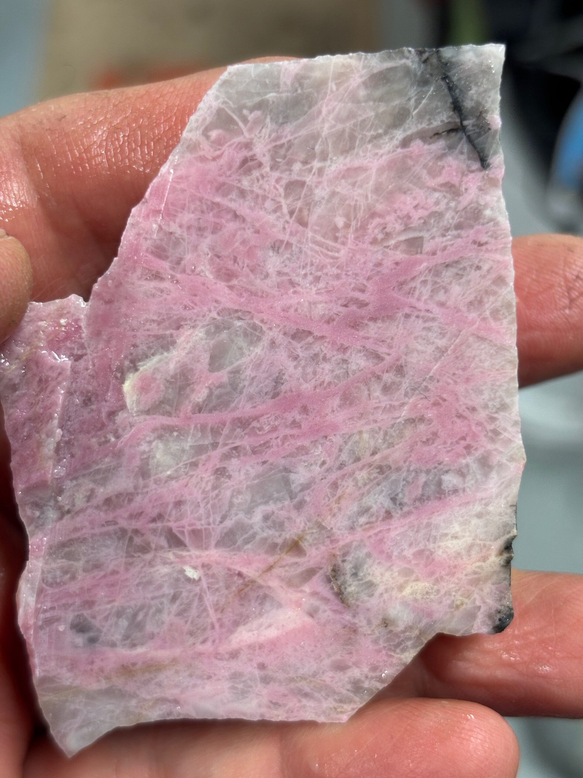 Vancouver Island Rhodonite